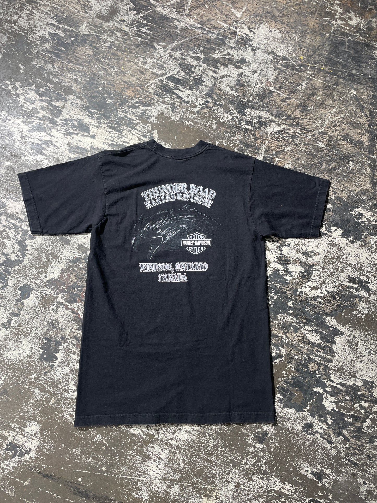 (L) Harley Davidson Ontario Eagle