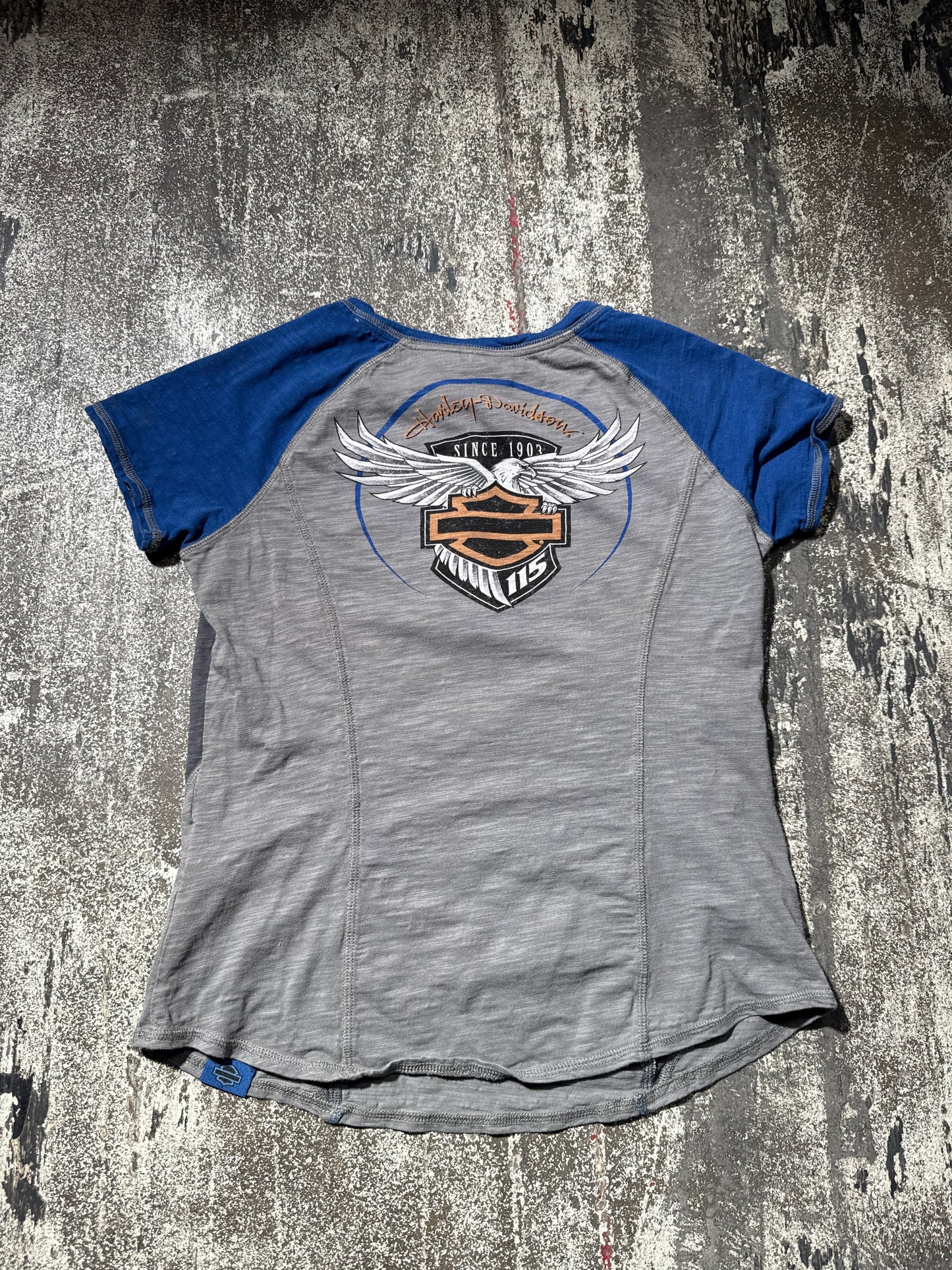 (M) Blue Harley Davidson 115 Years Anniversary Button Tee