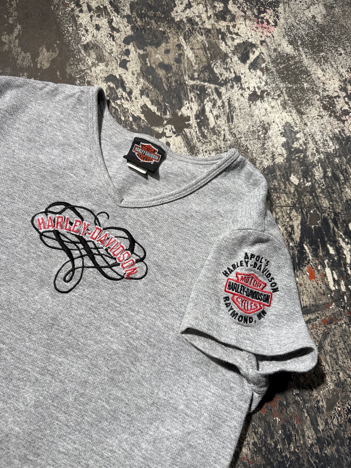 (L) Harley Davidson Raymond T-shirt
