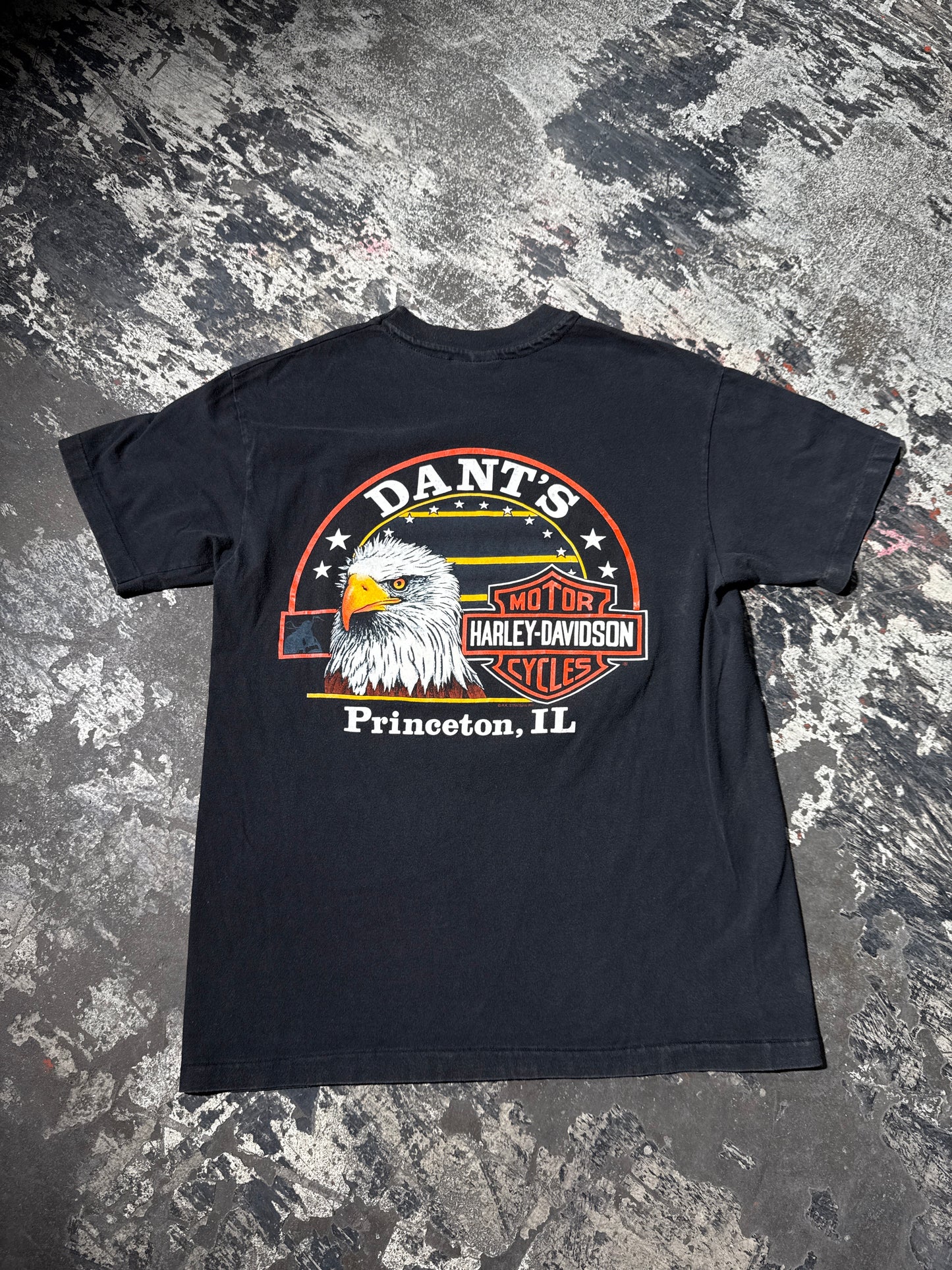(M) Vintage Harley Davidson Princeton Tshirt