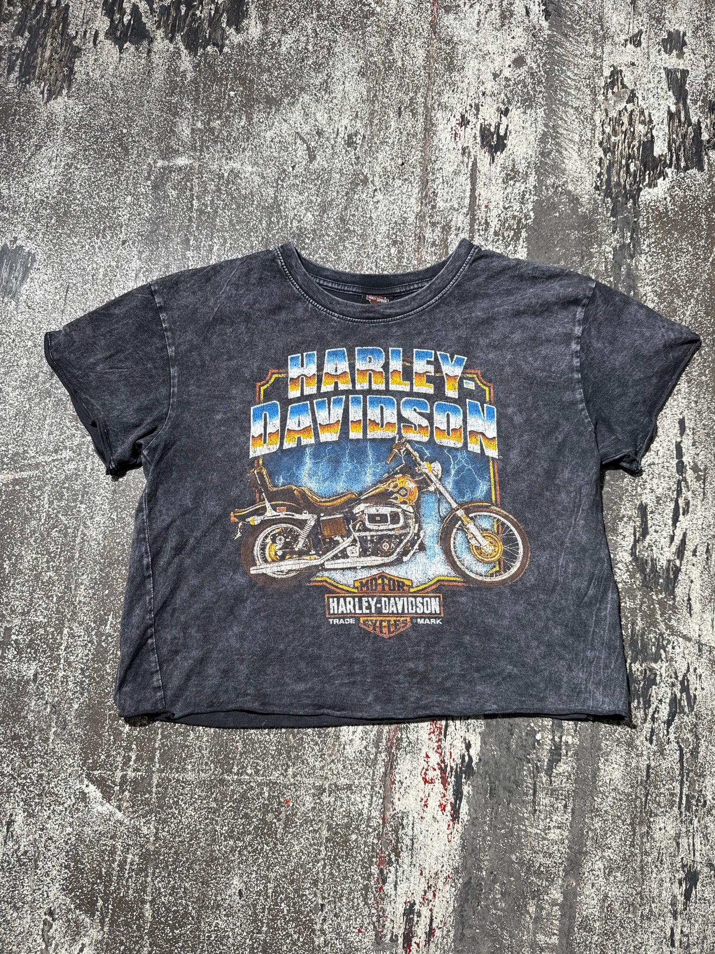 (S) Harley Davidson Motorcycle Tee CROPPED
