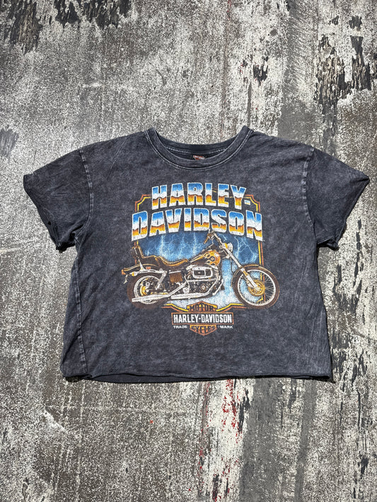 (S) Harley Davidson Motorcycle Tee CROPPED