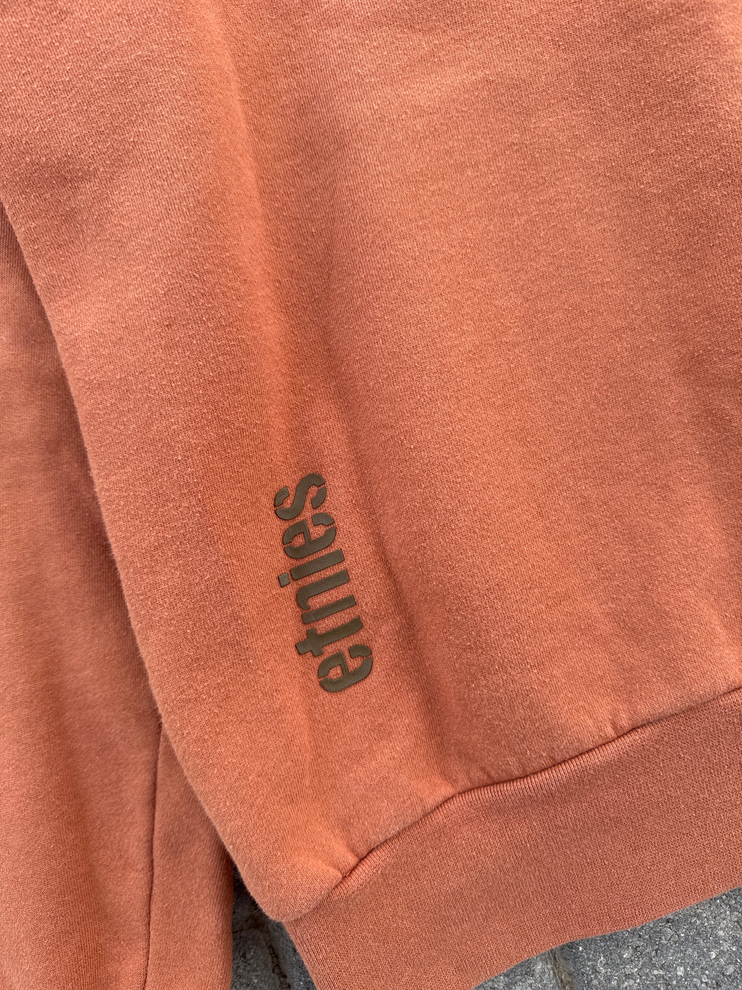 (S) Etnies Brown Hoodie